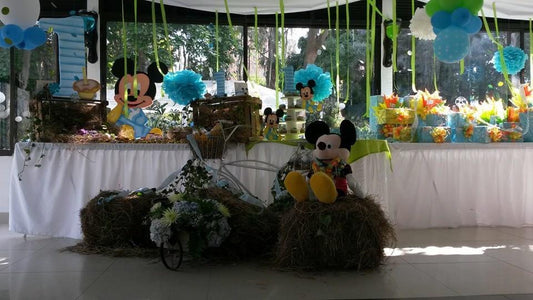 Themed children's birthday party